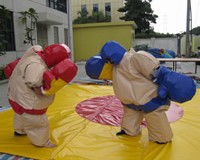 location de costume sumo adulte sur l'ariege (09)
