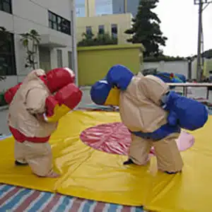 location sumo-adulte